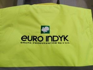 Euro Indyk